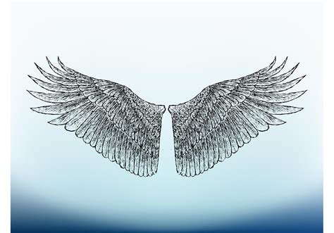 Bird Wings Image - Download Free Vector Art, Stock Graphics & Images