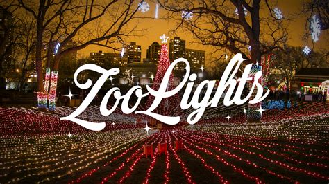 ZooLights at Lincoln Park Zoo Is Electrifying – Chicago Magazine