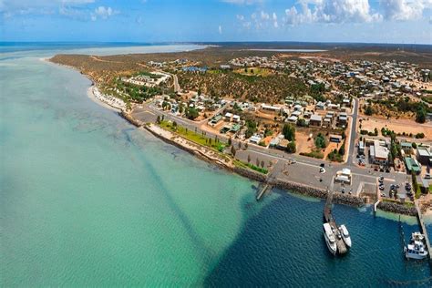 Denham / Shark Bay - Blue Juice Charters