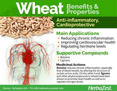 #Wheat #Enriched wheat flour may be a good source of iron, thiamine ...