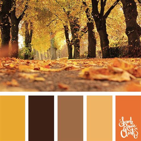 25 Autumn Color Palettes | Fall color palette, Color schemes, Fall color combinations