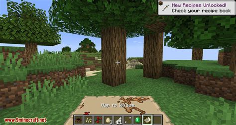 Bird Nests and Treasures Mod (1.16.5, 1.15.2) - Random Collectable Treasure - Mc-Mod.Net