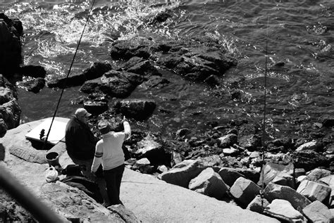 Free Images : sea, rock, snow, black and white, people, shore, fish, fishing rod, rocks, waves ...