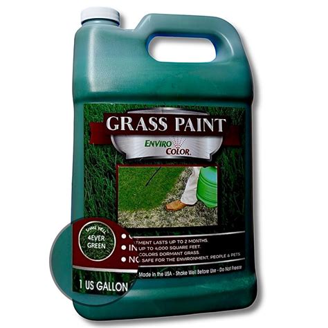 Buy EnviroColor4EverGreen Grass and Turf Paint | 1 Gallon Treats 4000 Ft² Paint Max Strength ...