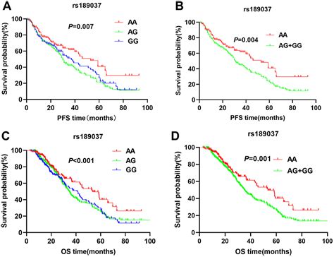 ATM gene polymorphisms are associated with poor prognosis of non-small ...