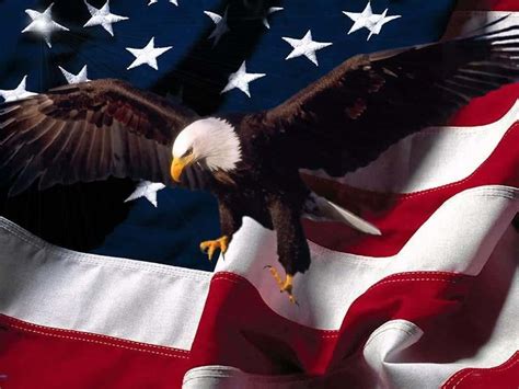 Download American Flag And Flying Bald Eagle Patriotic Military Wallpaper | Wallpapers.com