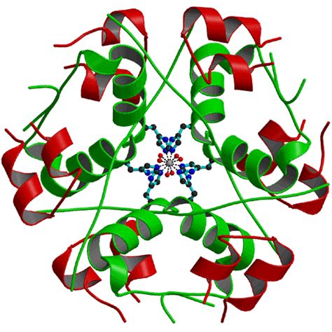 Bovine Insulin | Cell Culture Medium Supplement | Cell Applications