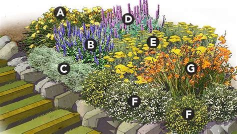 Garden Design Zone 7 - Garden Design Ideas