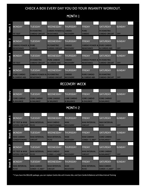 Insanity Workout Program Schedule