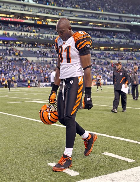 Cincinnati Bengals 2010 Year in Review: Top 15 Moments | News, Scores ...