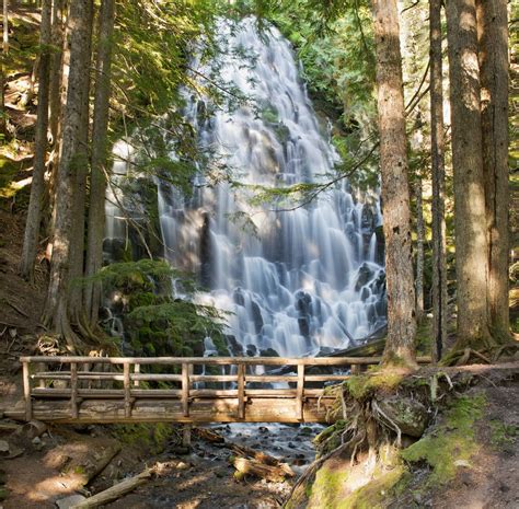 10 Of The Most Scenic Dog-Friendly Hiking Trails In Oregon