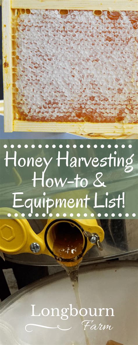 Honey harvesting equipment and how to – Artofit