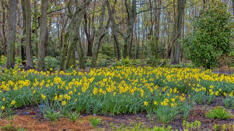 In the News — Delaware Botanic Gardens