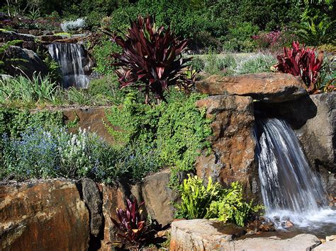 Maleny Botanic Gardens | Tourism Sunshine Coast