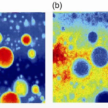 Chemical imaging of polystyrene (PS) and polyethylene terephthalate... | Download Scientific Diagram