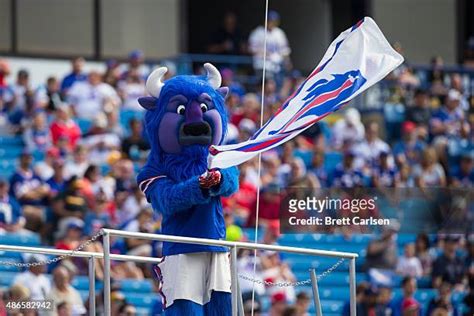 72 Billy Buffalo Mascot Stock Photos, High-Res Pictures, and Images ...