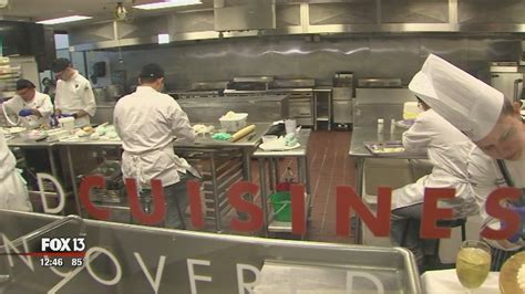 Art Institute of Tampa ready for summer menus | FOX 13 Tampa Bay