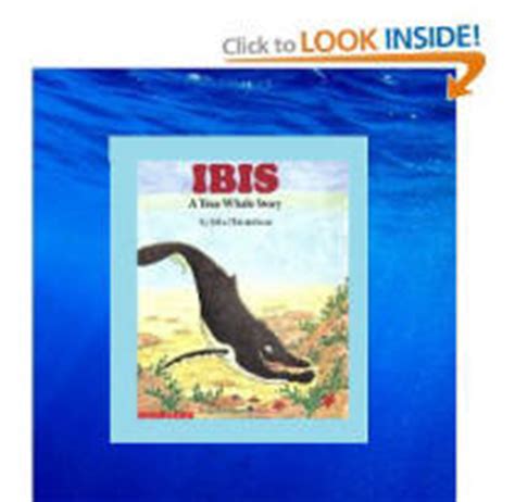 Ibis: A True Whale Story by John Himmelman