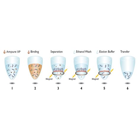 Ampure XP - Labplan