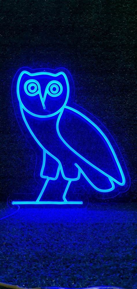 Owl Neon Sign Custom Neon Sign LED Neon flex sign Led neon | Etsy