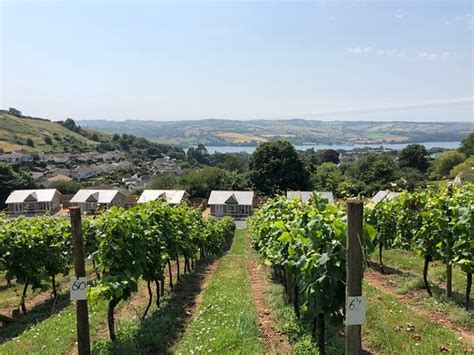 Old Walls Vineyard (Bishopsteignton): UPDATED 2020 All You Need to Know Before You Go (with PHOTOS)