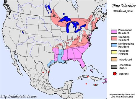 Pine Warbler - Species Range Map