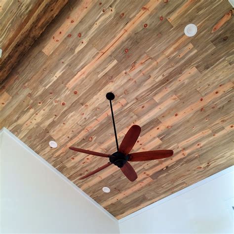 Beetle Kill Pine Ceilings: A Look Into Our Blue-Stain Ceiling Planks