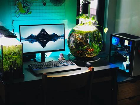 Fish Tank and Gaming Setup Combination | Wohungsdekoration, Terrarien, Computer