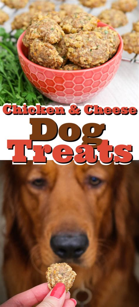 Chicken and Cheese Dog Treats | Chicken dog treats recipes, Healthy dog ...