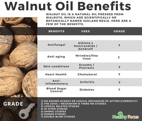 10 Amazing Benefits of Walnut Oil - Healthy Focus