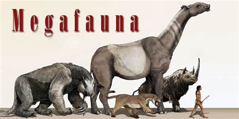 Megafauna – big animals | DinoAnimals.com