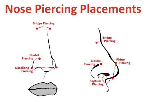 What Is The Sweet Spot On A Septum Piercing | Septum Piercing