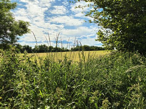 Cranborne Chase Farmers – Farmers and Landowners United