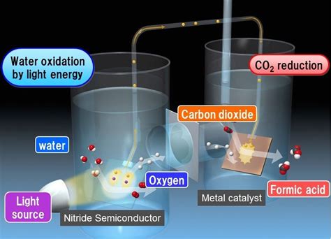 Panasonic Touts Artificial Photosynthesis Technology | Photosynthesis, Greenhouse gases, Technology