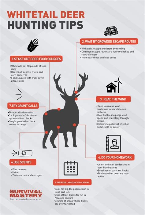 link from: http://survival-mastery.com/skills/scouting/deer-hunting-tips.html | Deer hunting ...