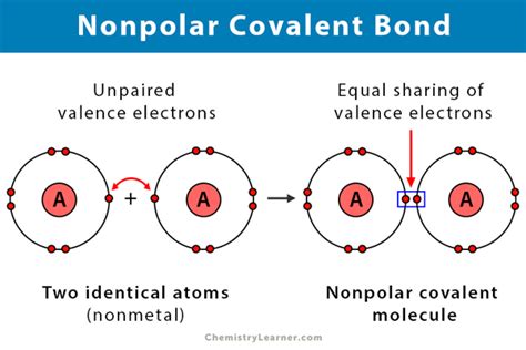 Nonpolar Covalent Bond: Definition and Examples