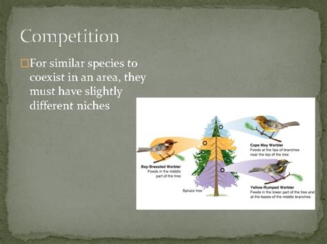 Ecosytem Interactions Biotic Interactions Competition Predation Symbiosis Competition