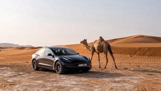 Tesla drops prices again, with Model 3 and Model Y now discounted in the US | TechRadar