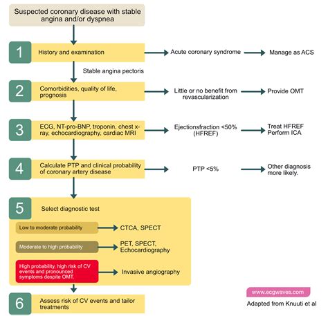 Stable Coronary Artery Disease (Angina Pectoris): Diagnosis, Evaluation, Management ...