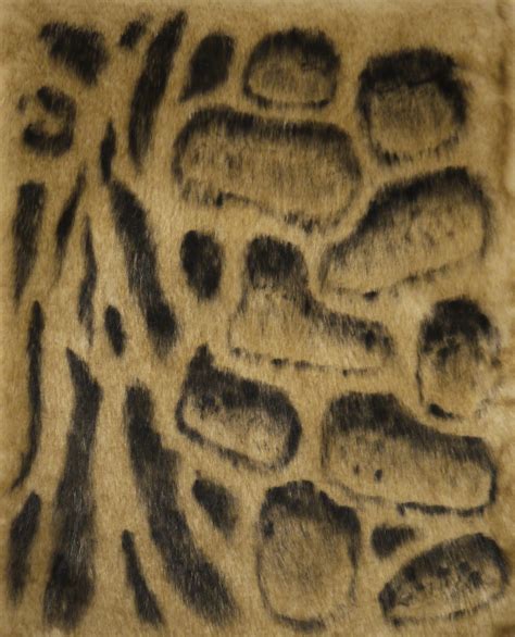 Clouded Leopard Fur Drybrushing - Ocelynk