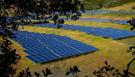 Solar farms can enhance biodiversity and sequester soil carbon too | Solar farm, Solar, Solar ...