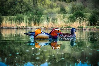 Couple At The Isar | During a walk along the Isar river near… | Flickr