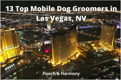 13 Top Mobile Dog Groomers in Las Vegas, NV - Pooch & Harmony