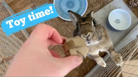 EASY DIY BUNNY TOYS - YouTube