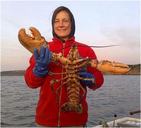 The Book of Records: Largest lobster believed to ever caught in 80 years!