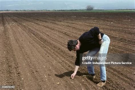 21 Kibbutz Hagoshrim Photos & High Res Pictures - Getty Images