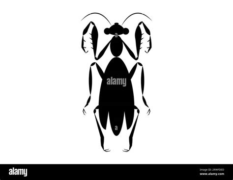 Black and White Praying Mantis Silhouette in Flat Style.Vector Black ...