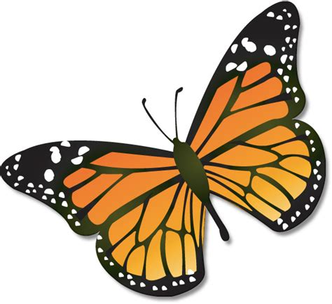 Clipart butterflies clipart – Clipartix