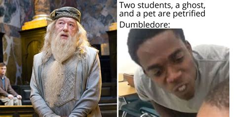 Harry Potter Memes Dumbledore