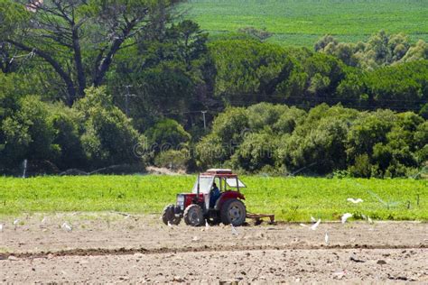 Farm tractor plowing crops stock image. Image of plants - 18069579